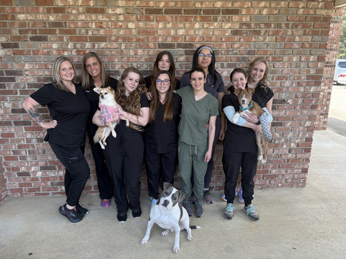 Our Team at Helena Veterinary Clinic in Helena, AL